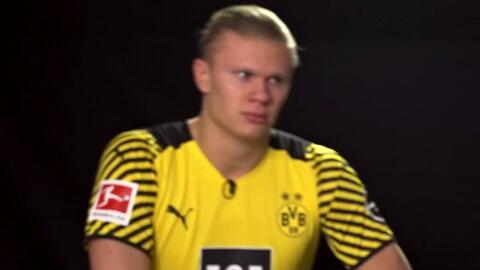 季后赛席位 季后赛席位