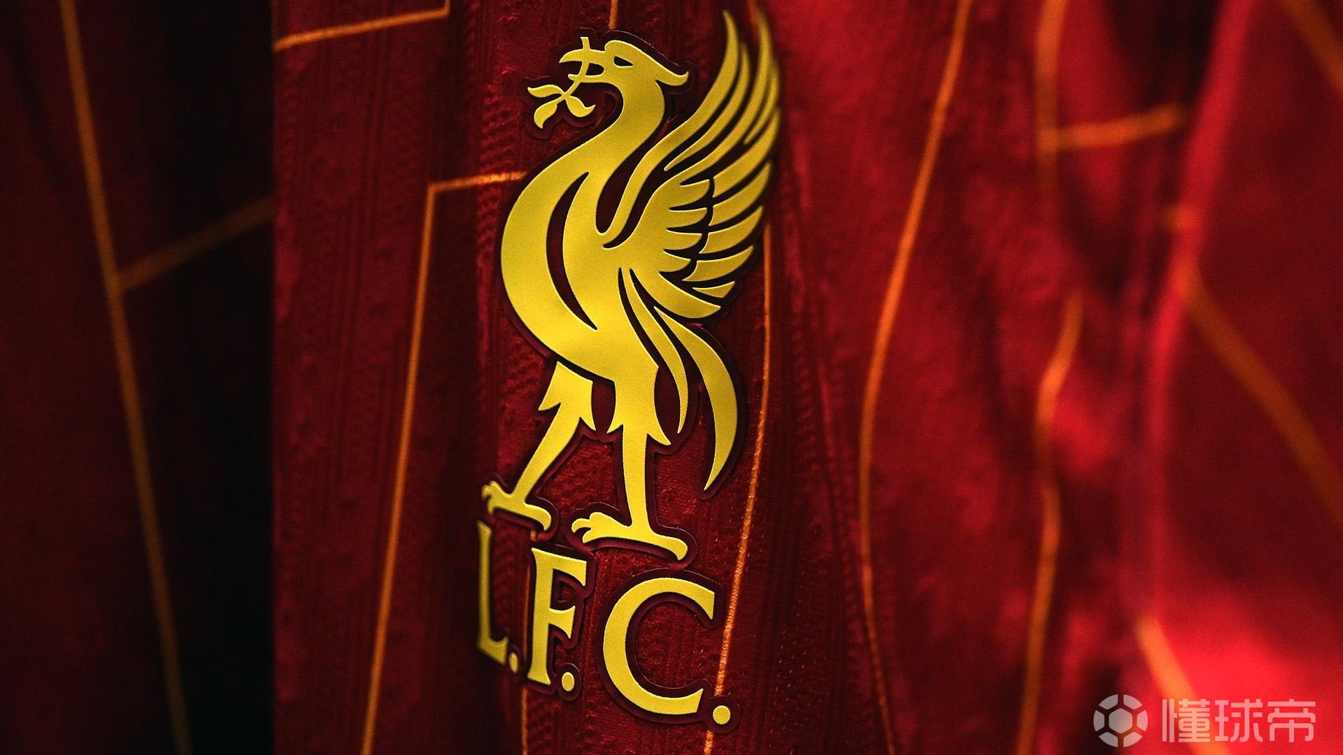 才可能在新 才可能在新